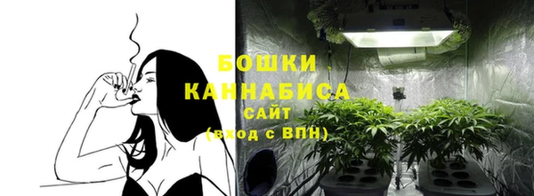 СК Елабуга