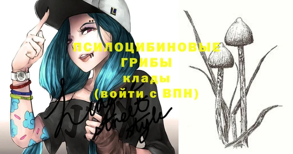 кокаин Заводоуковск
