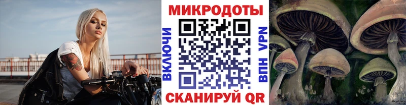 Галлюциногенные грибы ЛСД Кандалакша